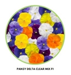 Pansy Delta Clear Mix
