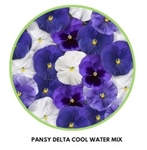 Pansy Delta Cool Water Mix