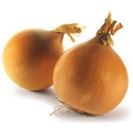 Onion Gladalan Brown