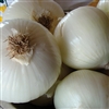 Onion White Spanish