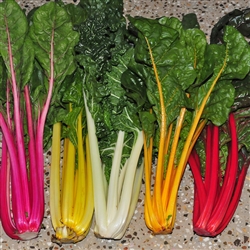 Silverbeet Rainbow -Decort