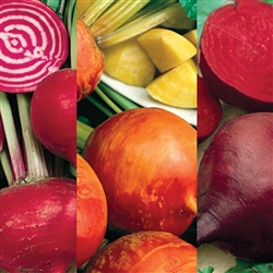 Beetroot Rainbow -Decort