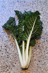 Silverbeet Fordhook Giant-Deco