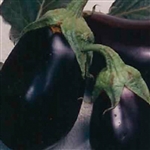 Eggplant Market Supreme OP