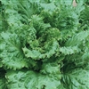 Lettuce Arianna Pellets