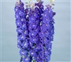 Delphinium Triton Blue