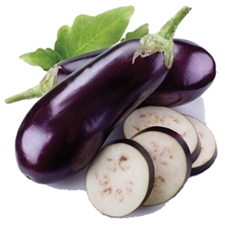 Eggplant Bonica