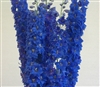 Delphinium Triton Dark Blue