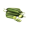 Cucumber Lebanese OP