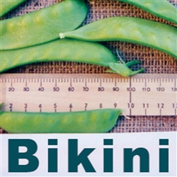 Pea Bikini -  Snow dwarf