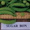 Pea Sugar Bon -  Snap dwarf