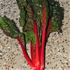 Silverbeet Cardinal (Red)-Deco