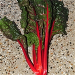 Silverbeet Cardinal (Red)-Deco