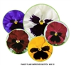 Pansy Flair Imp Blotch Mix S1