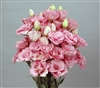 Lisianthus Gem Think Pink Pellets_disc