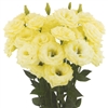 Lisianthus Megalo 1 Yellow Pellets