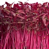 Amaranth Red Garnet(Microlea