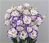 Lisianthus Megalo 3 Blue Pic MAX Pellets