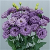 Lisianthus Celeb 2 Metalic Blue Pellets