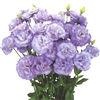 Lisianthus Celeb 2 Orchid Pellets