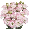 Lisianthus Megalo 3 Pop Pink Pellets