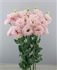 Lisianthus Celeb 2 Queen Pellets