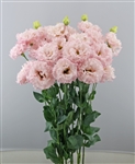 Lisianthus Celeb 2 Queen Pellets