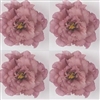 Lisianthus Celeb 2 Grape Pellets