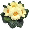 Primula Evie Lemon Cream