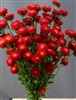 Aster Macaroon Scarlet