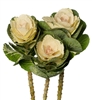 Kale Euro Sofia (White round rosette)