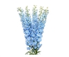 Delphinium Cress Light Blue