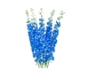 Delphinium Lamar Blue