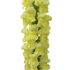 Antirrhinum Toulon Lemon IV