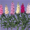 Stocks Iron Mix Pellets