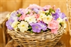 Petunia Limbo Pastel Mix Pellets