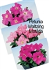 Petunia Waltzing Matilda Pelle