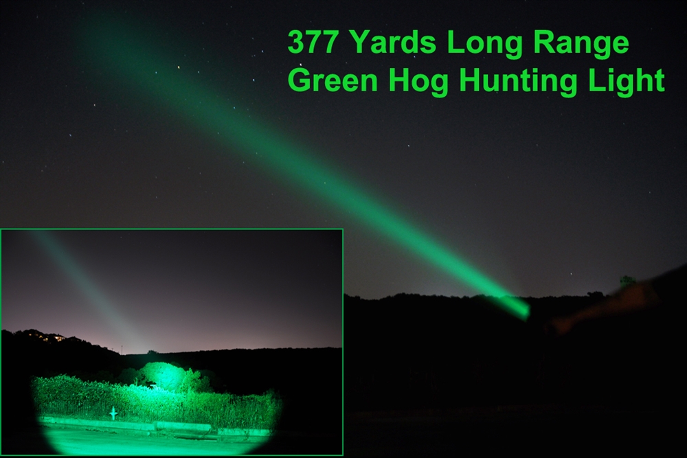 14+ Green Lights For Hunting