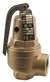 Not For Potable Use Valve - Relief - 2 - 30PSI - Bronze