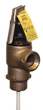 Temperature & Pressure Relief Valve 3/4 150 PSI 3 ELEM