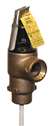 Temperature & Pressure Relief Valve 3/4 150 PSI 8 ELEM