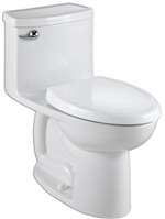 1.28 Gallons Per Flush Complete One Piece Closet With Seat Bone