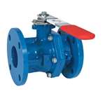 4 Cast Iron 125# Flanged Ball Valve