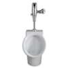 0.5 Gallons Per Flush TS Urinal Decorum White