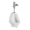 0.5 Gallons Per Flush Universal Urinal TS Allbrook White