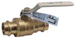 Lead Law Compliant 1 Pressure Full Port Forged Brass