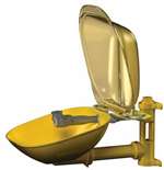Eyewash With Plastic Bowl & Cover *HALO