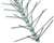 Stainless Steel Spikes-24 FT
