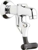 Lead Law Compliant 1.5 Gallons Per Minute One Hole Wall Mount Glass FILL