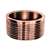 2 DWV Cast C X M Flush Trap Adapter